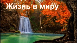 №12. Жизнь в Миру. Шри Рамана Махарши. Самоисследование.