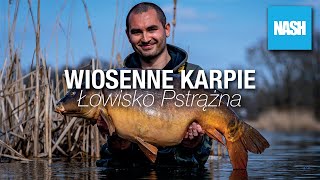 Wiosenne karpie - Łowisko Pstrążna