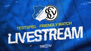 🔴 | Testspiel LIVE | TSG Hoffenheim – SV Elversberg