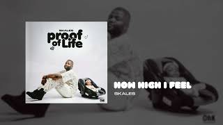 Skales - How High I Feel (Audio)