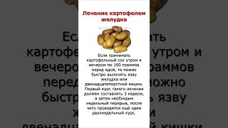 Лечение картофелем желудка