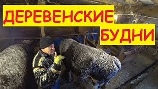 Деревенские будни / ПЕРЕДЕЛЫВАЮ СТОЙЛО / Ура снег!