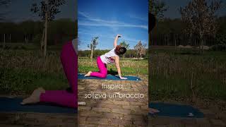 Mobilità spalle  #lascimmiayoga #yoga #vinyasa