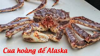 Cua hoàng đế Alaska - Cua Vua King Crab