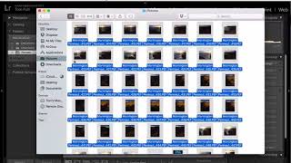 52 Tips in (almost) 52 Weeks - Tip #29 - Moving photos in Lightroom