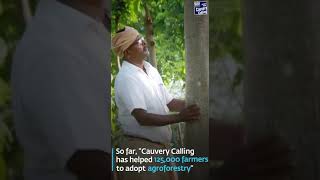 cauvery calling is helping farmers to adopt tree based agriculture #cauverycalling #tree #sadhguru