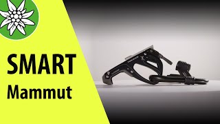 Smart von Mammut | Sicherungsgeräte