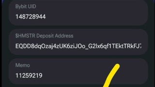 How to Withdraw Hamster Kombat Tokens from Telegram Bot to Bybit: Step-by-Step Guide