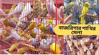 বাজরিগার পাখির মেলা | বাজরিগার পাখি পালন Budgie Pakhi Palon | মিরপুর-১ পাখির হাট