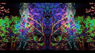 Trippy Trees Looped