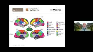 Relating Age, Brain, and Cognition: Results from the Cambridge Centre for Aging & Neuroscience