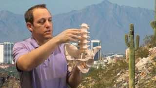 How to Treat Adult Scoliosis NonOperatively - from an AZ pain center (602) 507-6550