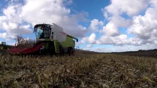 [GoPro] Maïs grain 2016 l ETA le caap l Manitou l  Claas lexion 650 & lexion 740 l