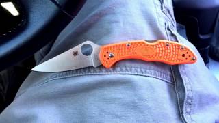 Spyderco Delica