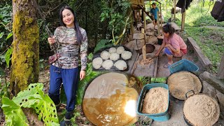 Hunting and Extracting Sago Startch From Sago Palm To Be Eaten (12-15-23)