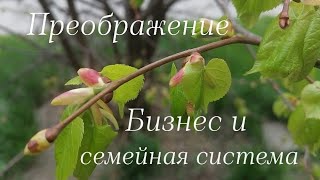 Ваш бизнес - отражение вашей семьи