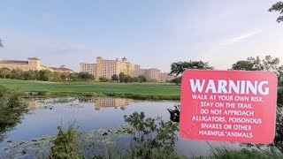 🏨🚶🏽‍♀️ Exploring the Walking Trail at Rosen Shingle Creek