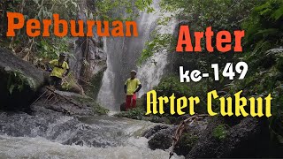 Pak Tejo | Perburuan Arter ke-149 | Arter Cukut