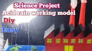 Acid rain working model | Science project #science