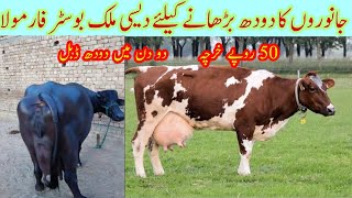 Desi Formula To Increase Milk Production Of Dairy Animals|How To Increase Milk||Milk Booster Formula