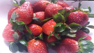 Unboxing Fresh Strawberry Shipping From Cameron Highland Malaysia + Try