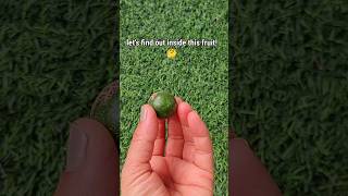 Surprise inside this fruit#shorts video #fruit#amazing fruit#shorts