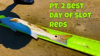 REDFISH Smashing the Popping Cork Pt. 2