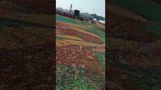 11Lakh 30 Hazaar Colour Deep se bana Sri Ram ji ka Chitra #viral #trending #sriram