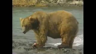 Children's Film Riffs Episode XVIII: Amazing Alaska Animals part 3