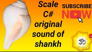 Shankh scale C# with original sound of shankh 🕉️