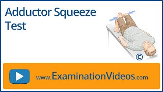 Adductor Squeeze Test