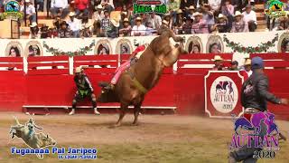 TORO DE ONCE CARNAVAL AUTLAN DE LA GRANA JALISCO 2020