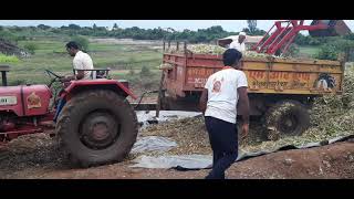 मूरघास बनण्याची नवीन पद्धत | पाशु आचार केसे बनाए Mahindra 585 performance on Thresher machine