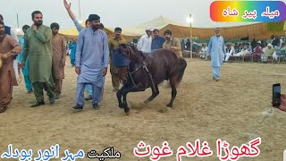 Horse dance 2023 with dhol | ghoda Ghulam a Gaus | mahar Anwar bodla