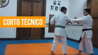 Uechi Ryu Kata Bunkai - Shoken tsuki, Koza no Kamae