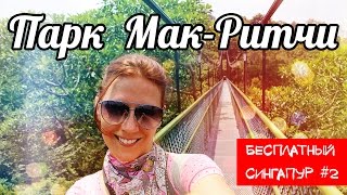 Бесплатный Сингапур ☆ Парк Мак-Ритчи ☆ MacRitchie Reservoir