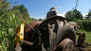 9N Ford tractor plowing up  potatoes