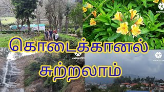 KODAIKANAL TOURIST PLACES/TRAVEL VlOG /PART-3