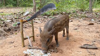 Best Creative Wild Pig Trap Using Big Knife #animaltrap #shortvideo