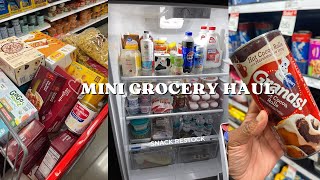 MINI GROCERY HAUL | SNACK RESTOCK TARGET FINDS