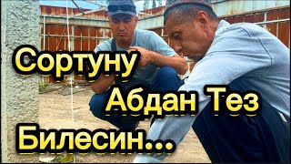 Сортуну Абдан Тез Билесин…