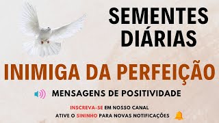 Sementes Diárias: Positividade, Fé, Reflexão e Motivação | INIMIGA DA PERFEIÇÃO