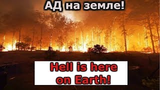 Wildfires in Australia .Ад на земле в наши дни!Лесные пожары Австралии!