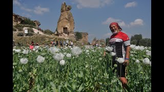 Afyon Frig Vadisi Bisiklet Festivali Video 1