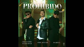 Silvestre, Pipe Bueno, Darell - Prohibido