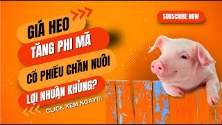 Phân Tích Ngành Chăn Nuôi Heo 2024 - Nhận Định & Định Giá Cổ Phiếu Ngành Lợn BAF DBC MML VSN