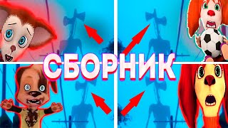 🤩 Сиреноголовый SCP в Барбоскиных - СБОРНИК