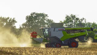 NEW CLAAS Lexion 7600 & CLAAS Lexion 560 I Harvest 2022 I Agro Gajary