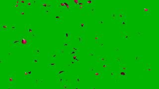 Flower petals falling green screen | 4K Falling Petals Green Screen Source | green screen background