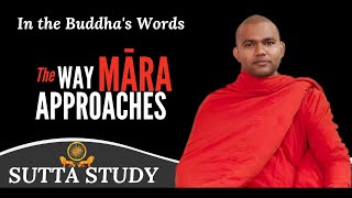 The Way Mara Approaches—Paṭhamamārapāsasutta SN 35 114